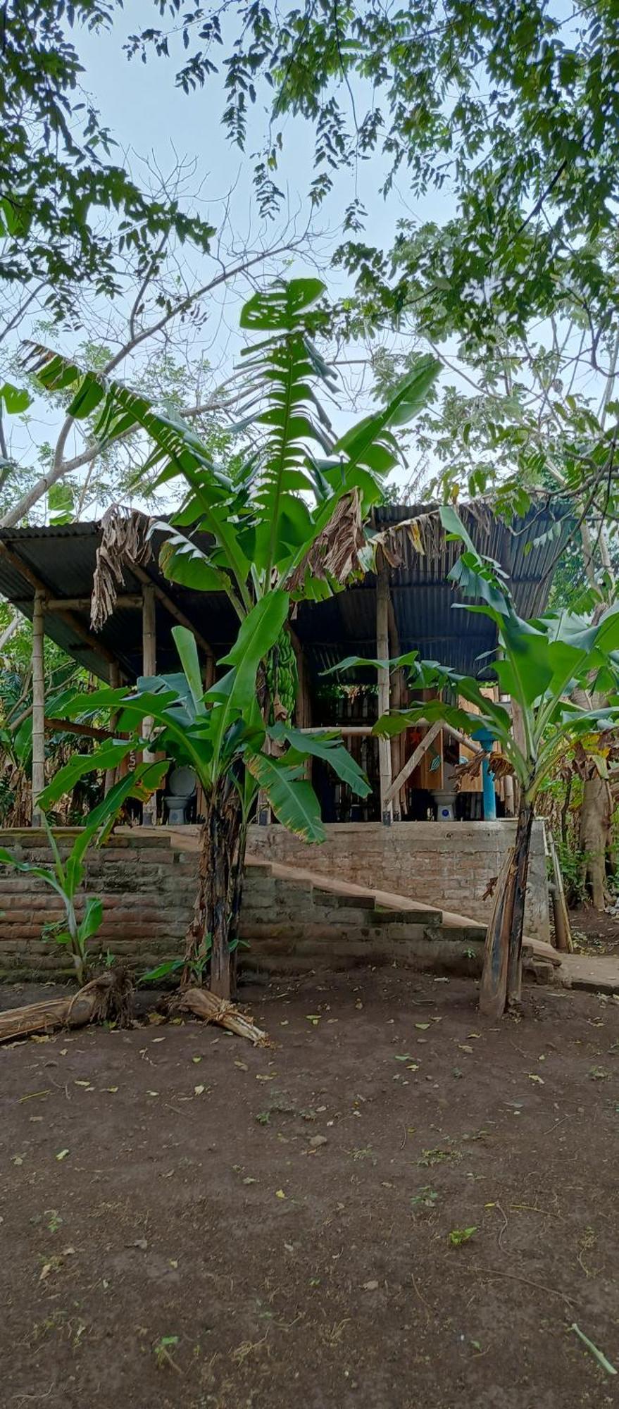 La Sirenita - Ometepe Hotel Altagracia Exterior photo